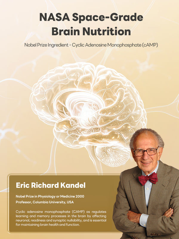 TukLand BRAIN NUTRIENT