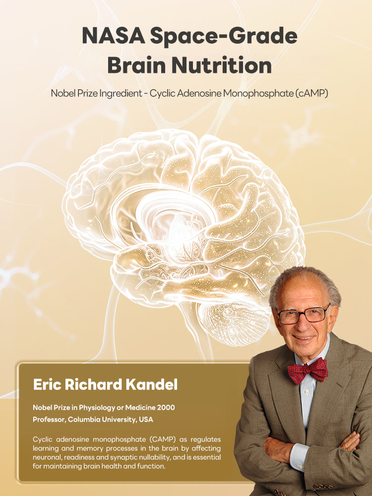 TukLand BRAIN NUTRIENT