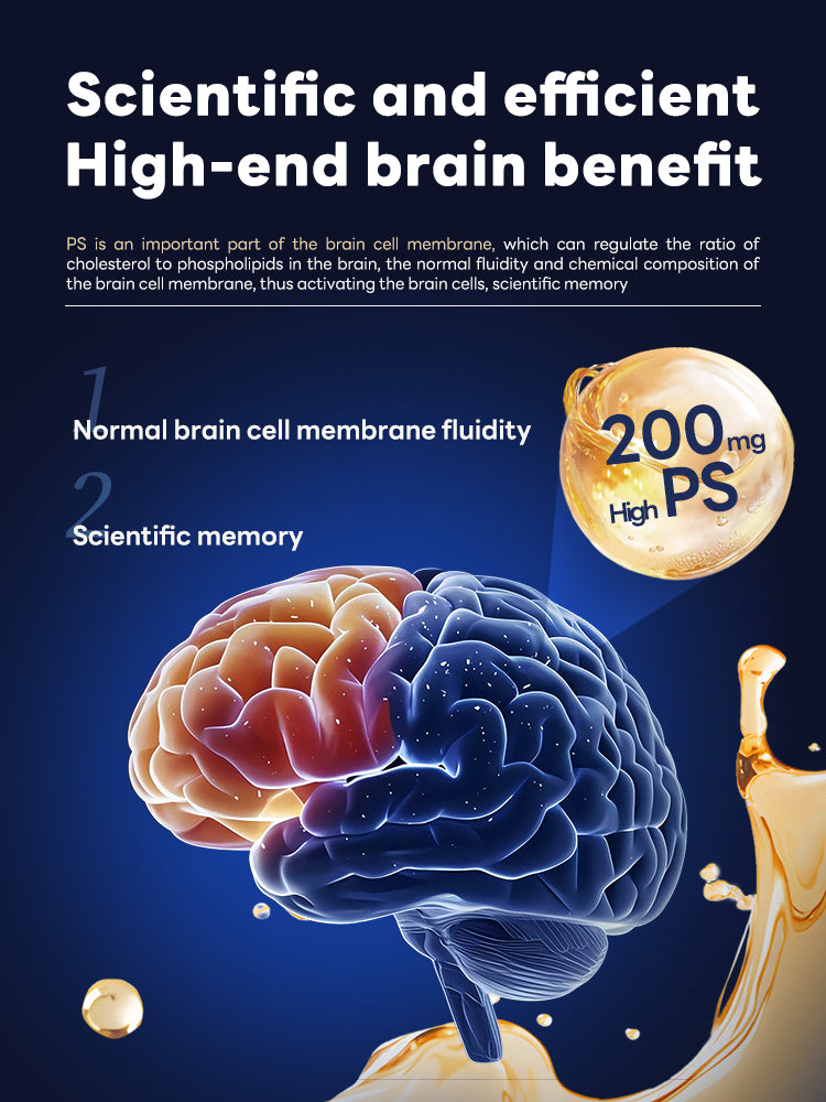 TukLand BRAIN NUTRIENT